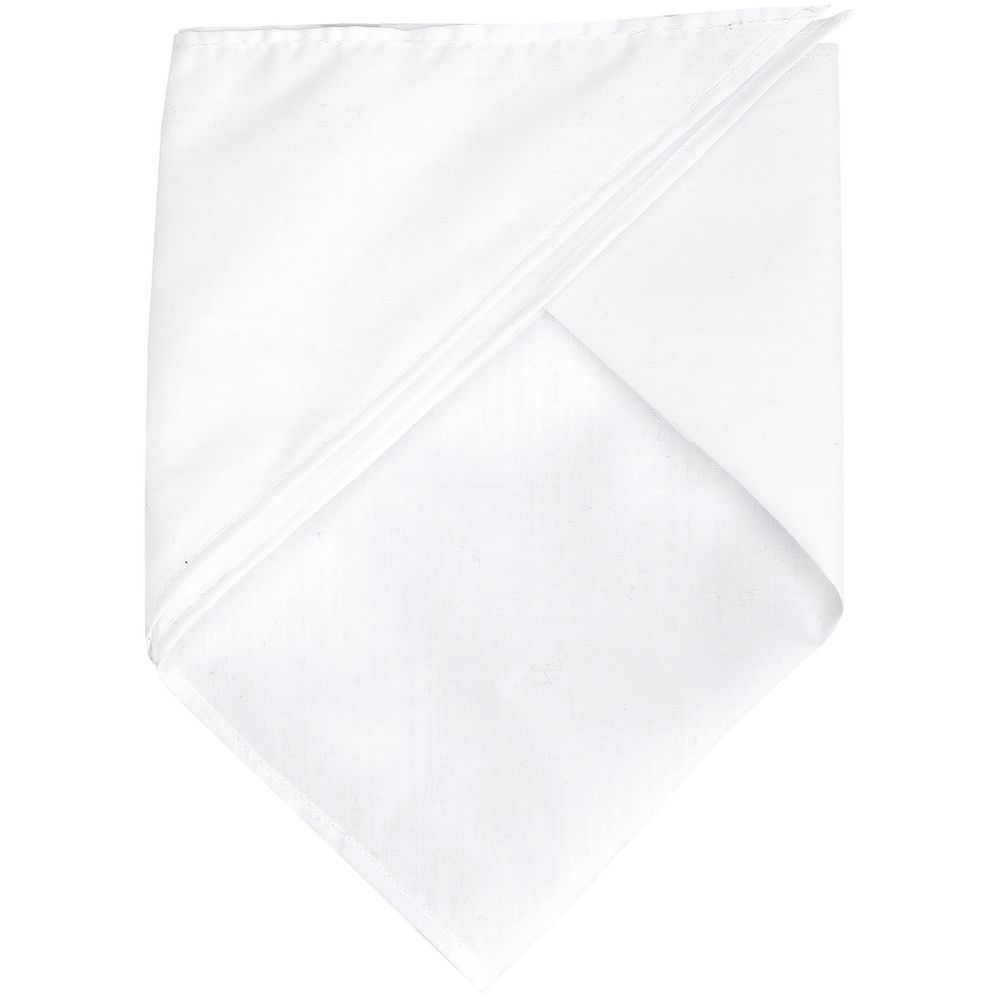 Шейный платок Bandana, белый в Пензе